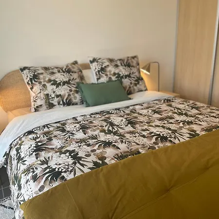 Apartamento Cannes, Avec Parking+terrasse, Croisette A Pied! Cannes